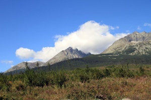 AGU-127