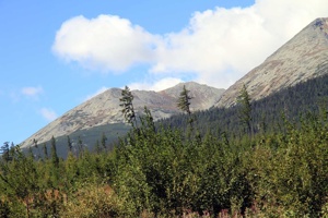 AGU-129
