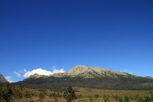 AGU-133
