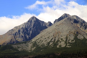 AGU-142
