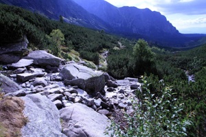 AGW-026