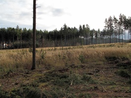 RR-151.jpg