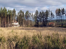 RR-153.jpg
