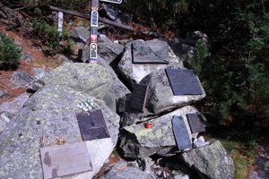 AGW-333