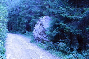 AGY-010