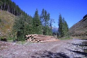 AGY-025