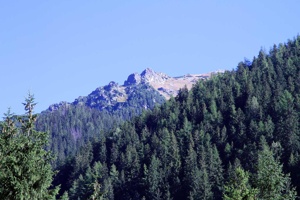 AGY-042