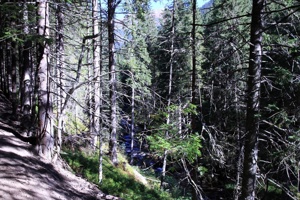 AGY-052
