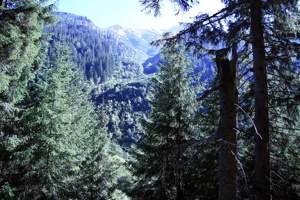 AGY-066
