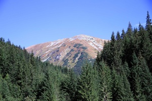 AGY-067