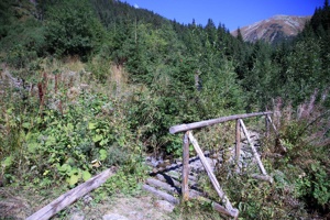 AGY-068