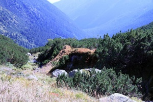 AGY-180