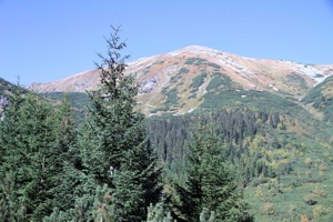 AGY-200