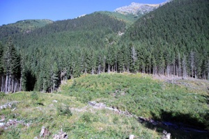 AGY-218
