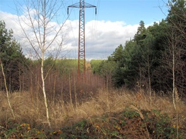 RR-164.jpg