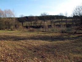 RR-198.jpg