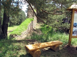 TI-279.jpg