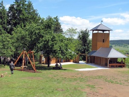 TI-330.jpg