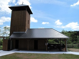 TI-361.jpg