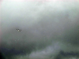 AJF-028
