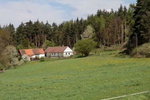 AJN-190