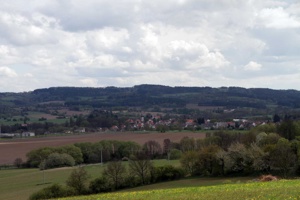 AJN-288