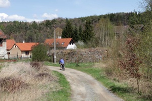 AJN-295