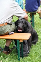 AKC-077