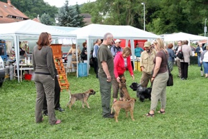 AKC-141