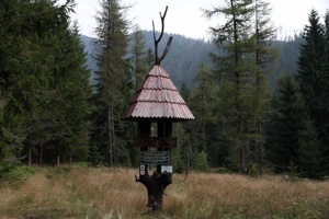 ALJ-083