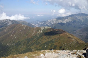 ALK-296