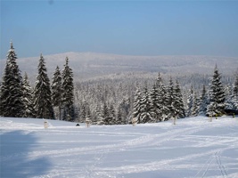 SH-103.jpg