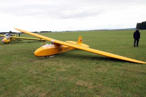 AOC-081