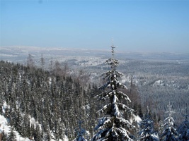 SH-336.jpg