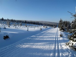 SH-420.jpg