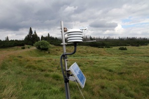 AOM-137