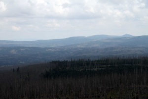 AOM-210