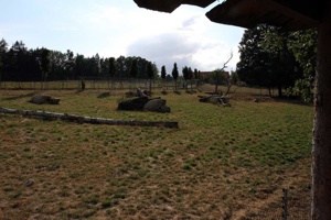 AOP-195