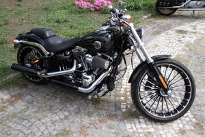 APA-255
