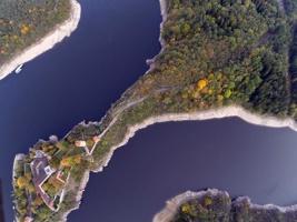 G0050542