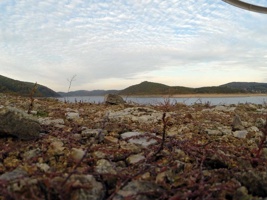 G0060569