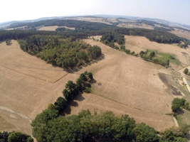 G0060551