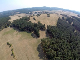 G0030379