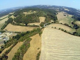 G0080594