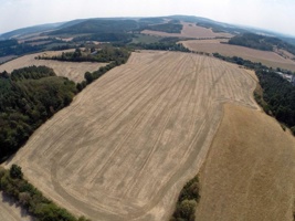 G0080598