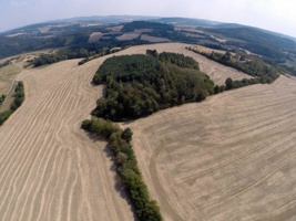G0080599