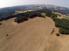G0040505