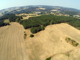 G0040504