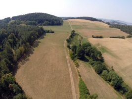 G0050529