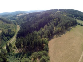G0050530